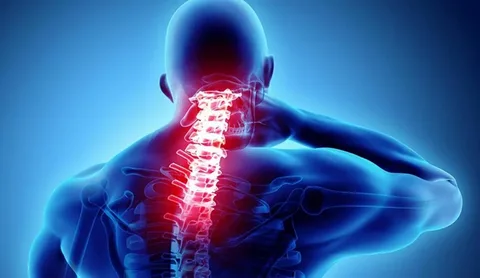 Moda İnşaat Boyun Fıtığı